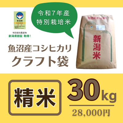 魚沼産コシヒカリ "特別栽培米"　精米30kg