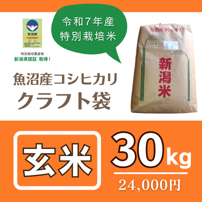 魚沼産コシヒカリ "特別栽培米"　玄米30kg