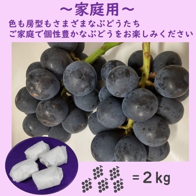 ナガノパープル家庭用　２キロ