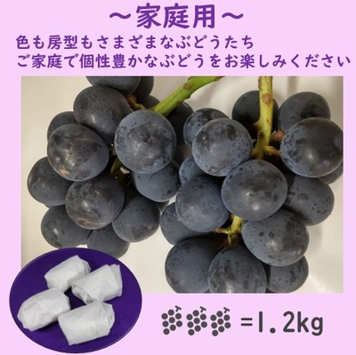 ナガノパープル家庭用　１．２キロ