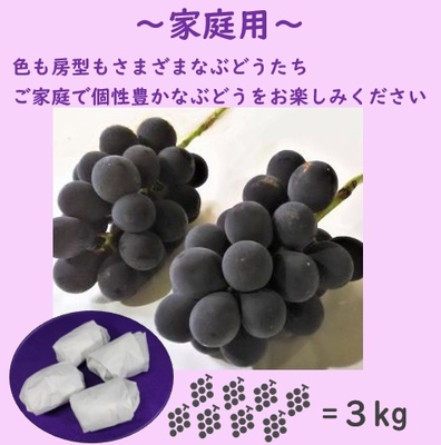 巨峰家庭用　３キロ