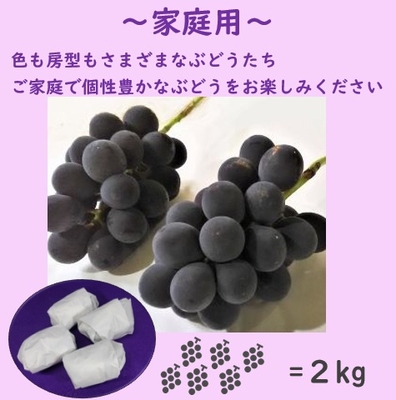 巨峰家庭用　２キロ