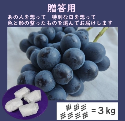 ナガノパープル贈答用３キロ