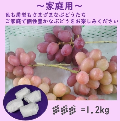 クイーンルージュ&reg;家庭用１．２キロ
