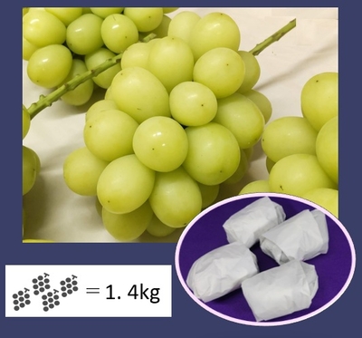 シャインマスカット　約1.4㎏　3から4房