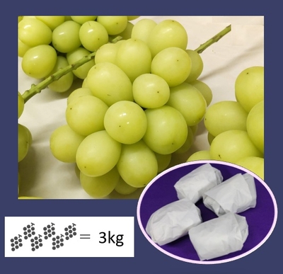 シャインマスカット　約3キロ　7から9房