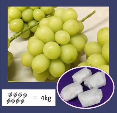 シャインマスカット　約4キロ　8から10房