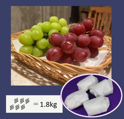 シャインマスカットとクイーンルージュ®訳有詰合せ　約１．８キロ