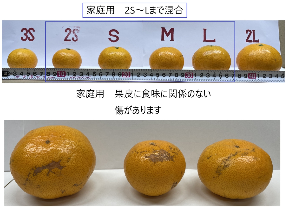 崖っぷち蜜柑 3kg 家庭用 送料込み | 崖っぷち蜜柑