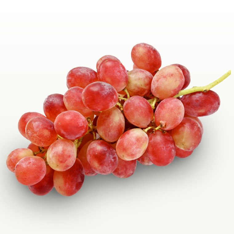 甲斐路ぶどうF4 甲斐路 3～4房入り （JA南アルプス市オンラインショップ - 道の駅