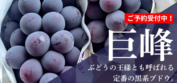 巨峰　３～４房入り
