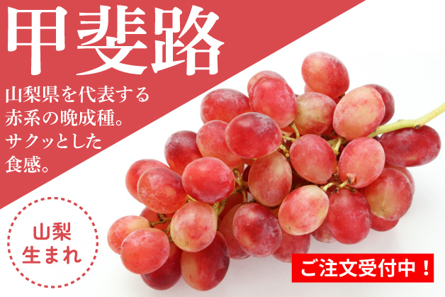甲斐路