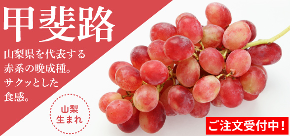 甲斐路　３～４房入り