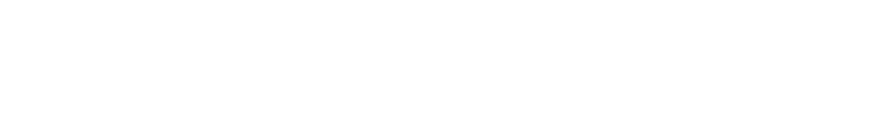 Southern Alps City Kiwi