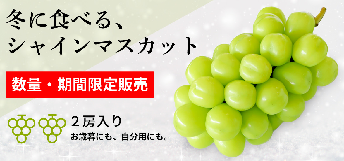 長期貯蔵シャインマスカット
