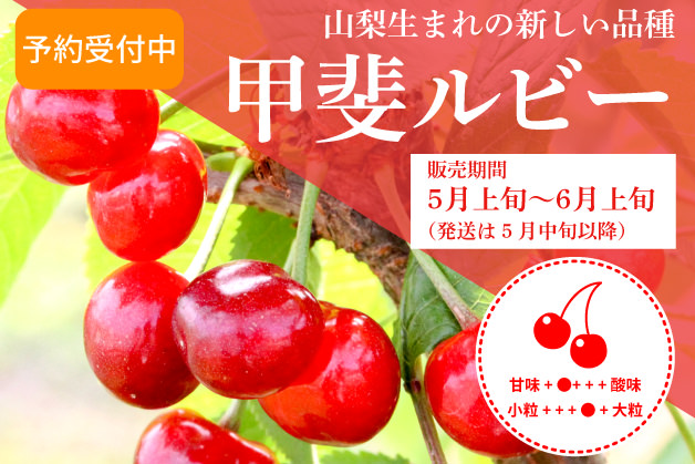 甲斐ルビー