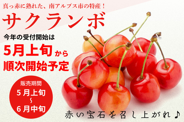 サクランボ