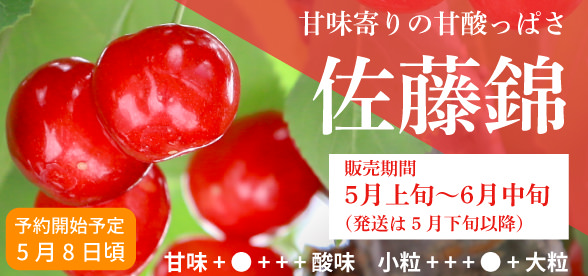佐藤錦