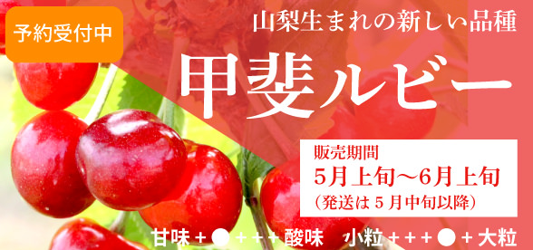甲斐ルビー