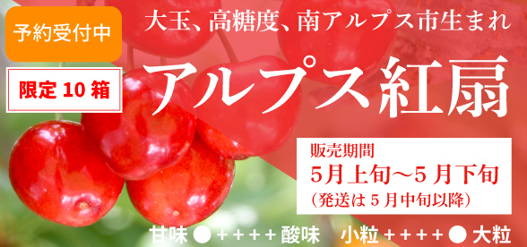 アルプス紅扇