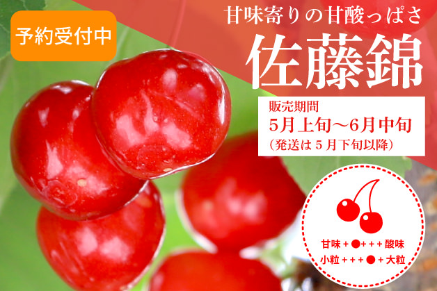 佐藤錦