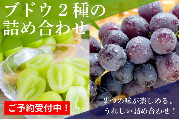 二つのブドウ