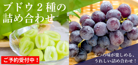 ブドウ2品種