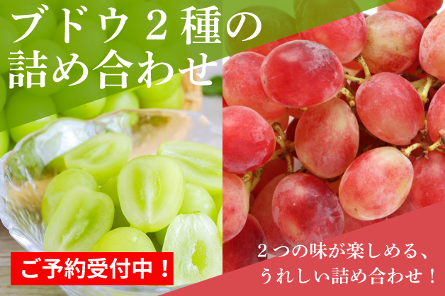 二つのブドウ
