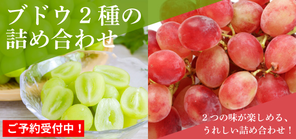 ブドウ2品種
