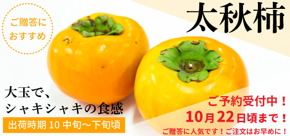太秋柿