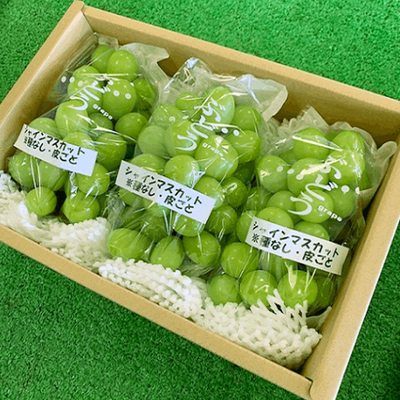 マイネルキャベツ　南アルプス市　白加賀9キロ キーワードによる検索 （JA南アルプス市オンラインショップ - 道の駅