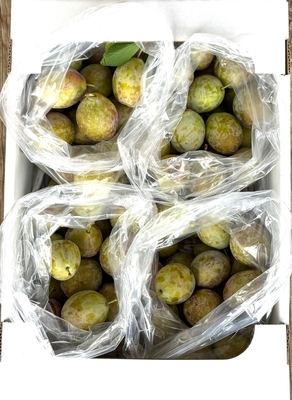 甘いプルーン　フレンチ　４ｋｇ