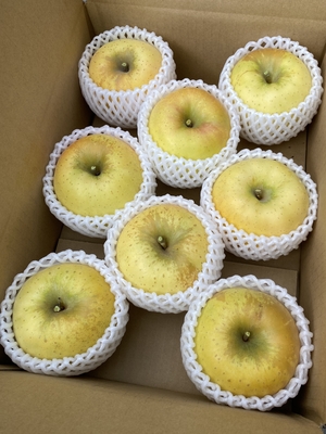 シナノゴールド　7ｰ11個入り