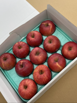 サンふじ　6ｰ11個入り　2箱セット