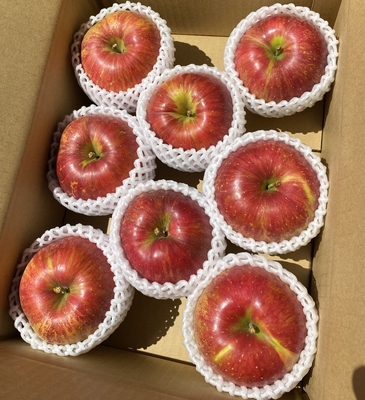 シナノスイート　8ｰ11個入り