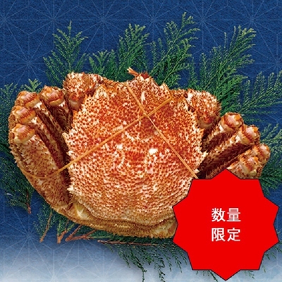 冷凍毛がに(オホーツク産) ボイル目(500g前後)