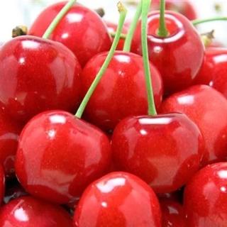 佐藤錦1Kg(Lサイズ以上/　　　約150粒)500gﾊﾟｯｸ2P:化粧箱入