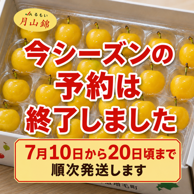 月山錦250g(2Lサイズ以上/ 約24粒)500g無地白箱入