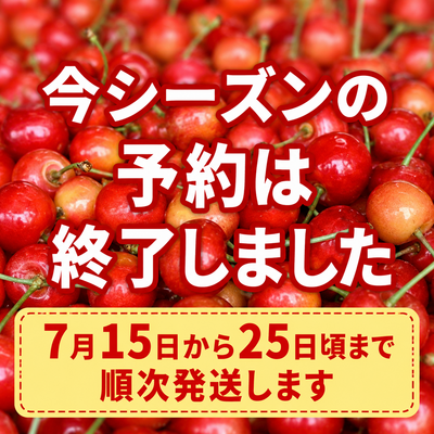 紅秀峰1Kg(2Lサイズ以上/ 約130粒)500gパック2P:化粧箱入