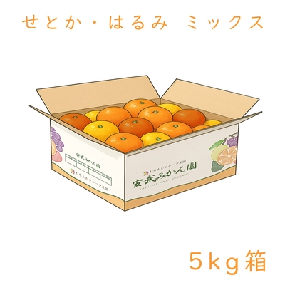 はるみ・せとか ミックス 5kg箱