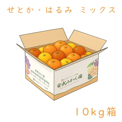 はるみ・せとか ミックス 10kg箱