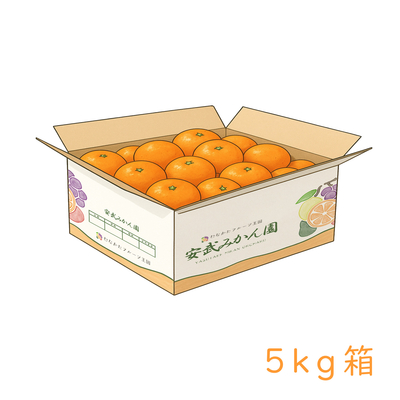 温州みかん 5kg