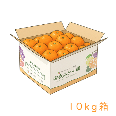 温州みかん 10kg
