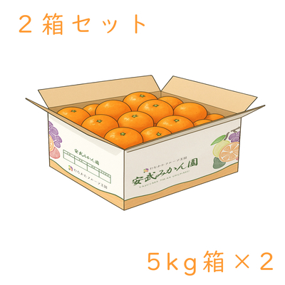 温州みかん5キロ 2箱セット