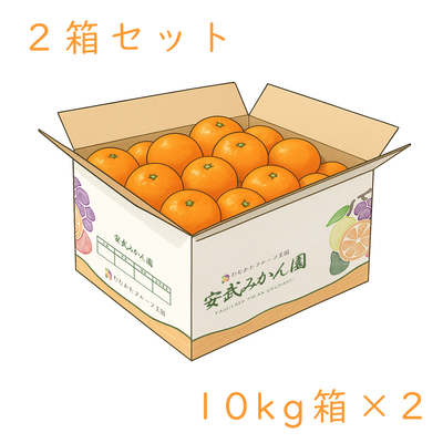 温州みかん 10kg 2箱セット