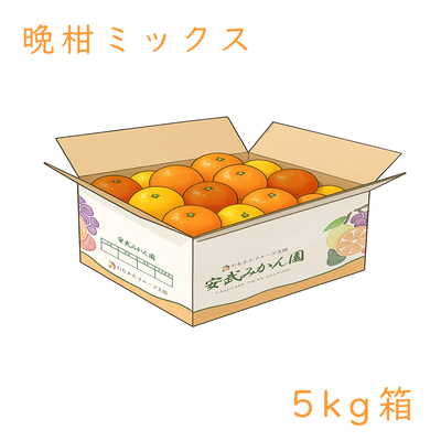 晩柑ミックス箱 5kg