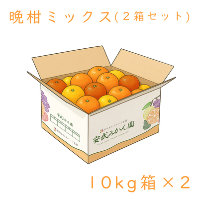 晩柑ミックス箱 10kg 2箱セット