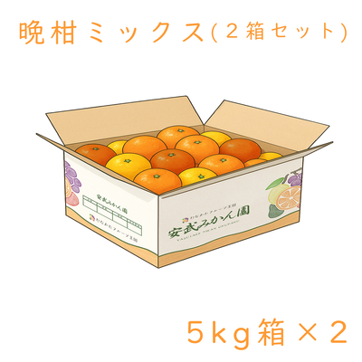 晩柑ミックス箱 5kg 2箱セット