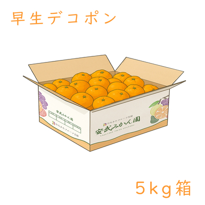 早生デコポン 5kg箱
