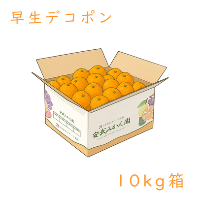 早生デコポン 10kg箱